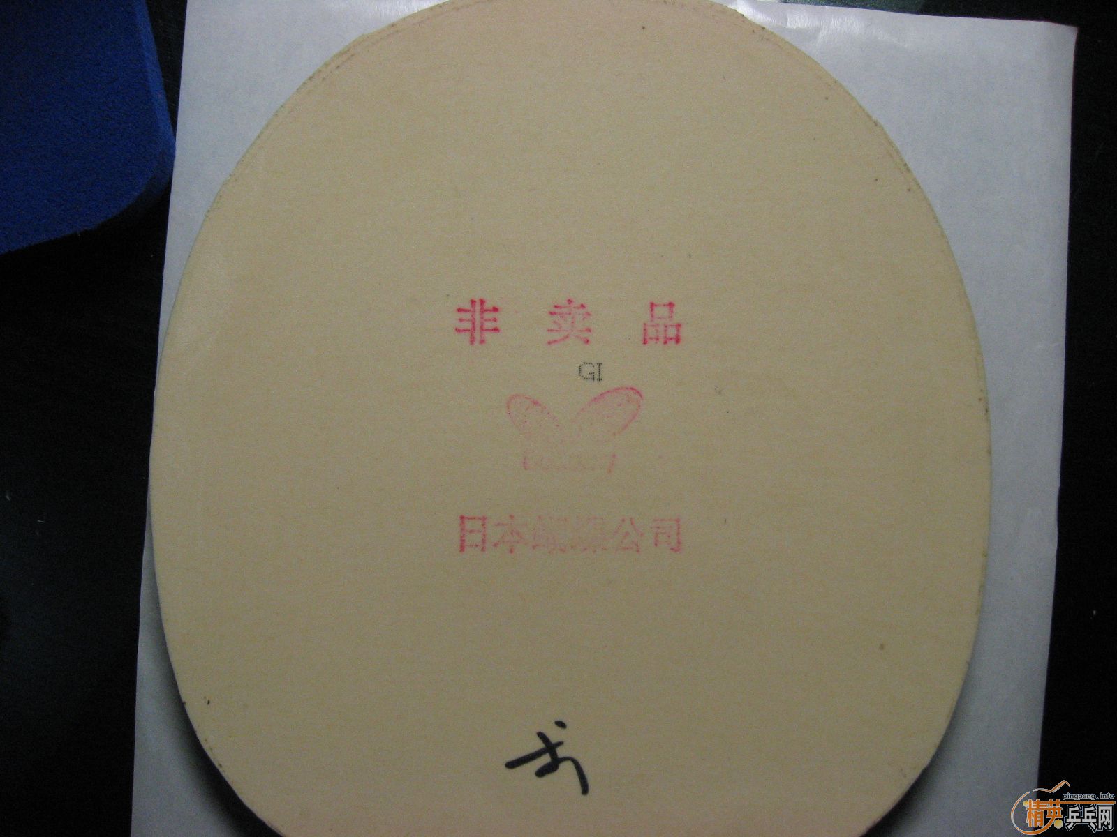 �����ֿ�̼�أ�1����FL���������鳬�´��