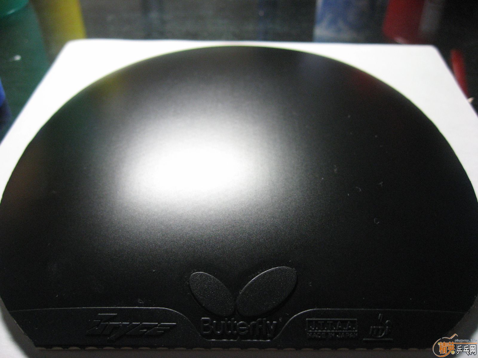 �����ֿ�̼�أ�1����FL���������鳬�´��