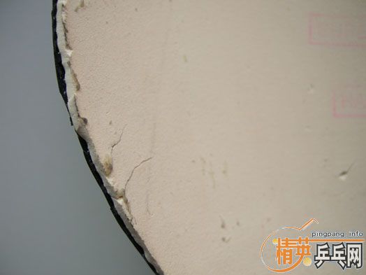 �����ű��˶��ֽ�Ƥ���������ס�