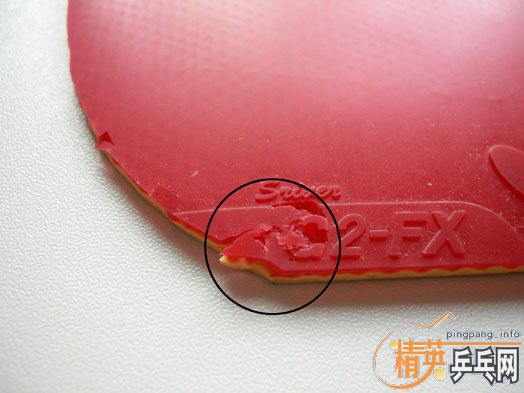 �����ű��˶��ֽ�Ƥ���������ס�