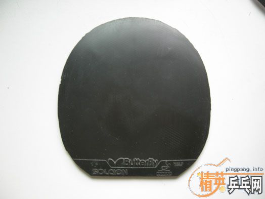 �����ű��˶��ֽ�Ƥ���������ס�