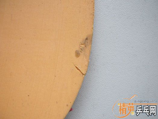 �����ű��˶��ֽ�Ƥ���������ס�