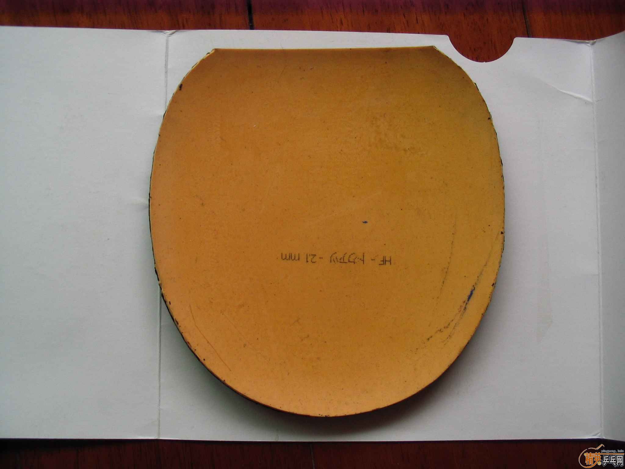 ����͡�EL��F1���׽�