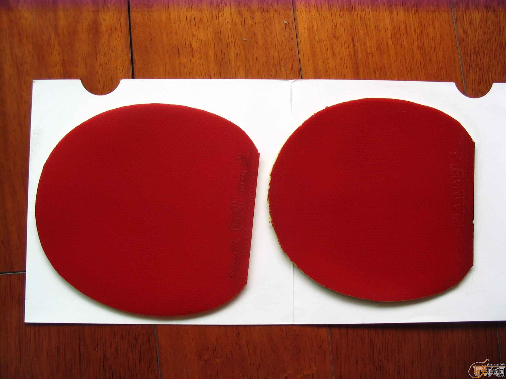 ����͡�EL��F1���׽�