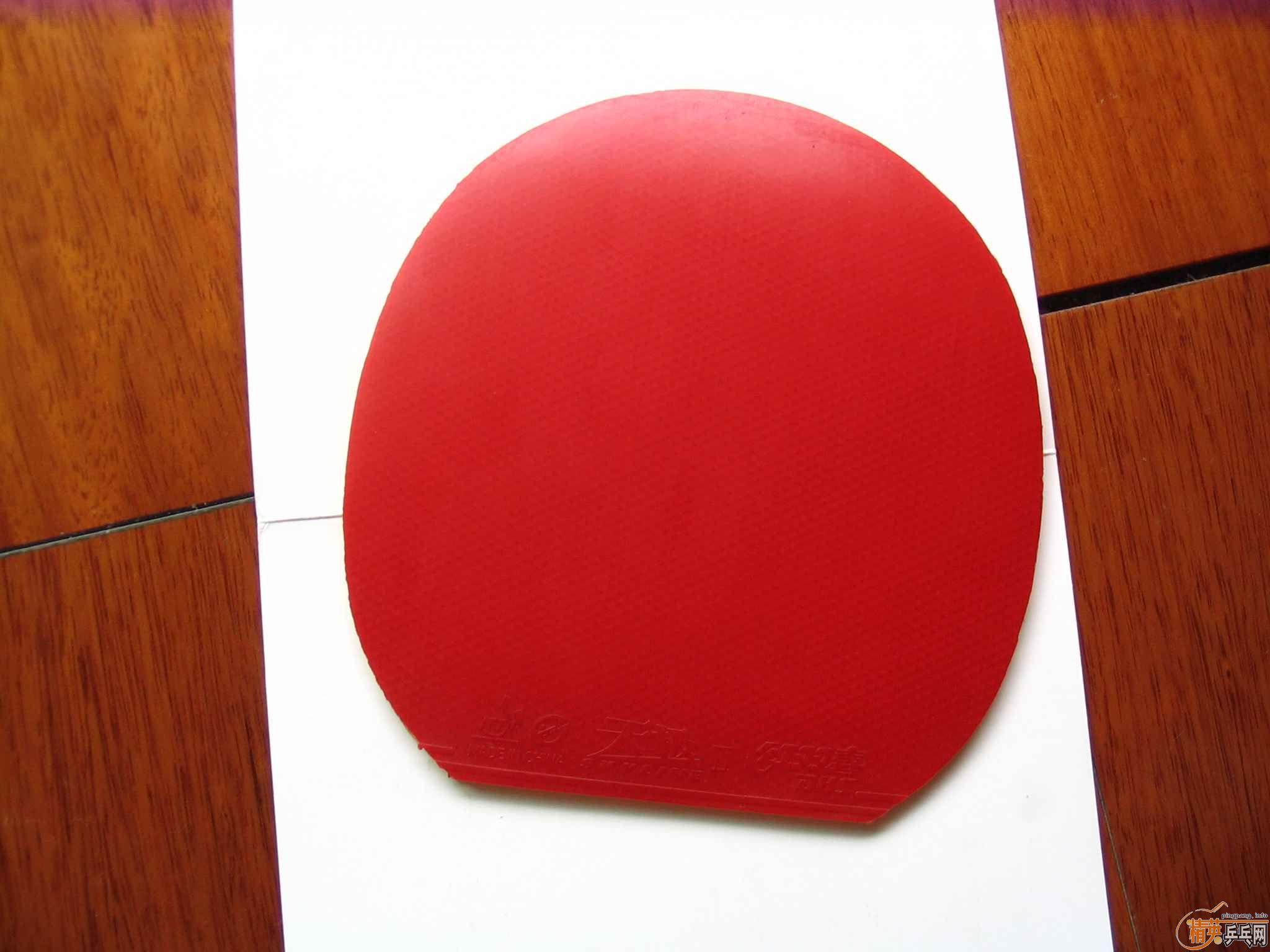 ����͡�EL��F1���׽�