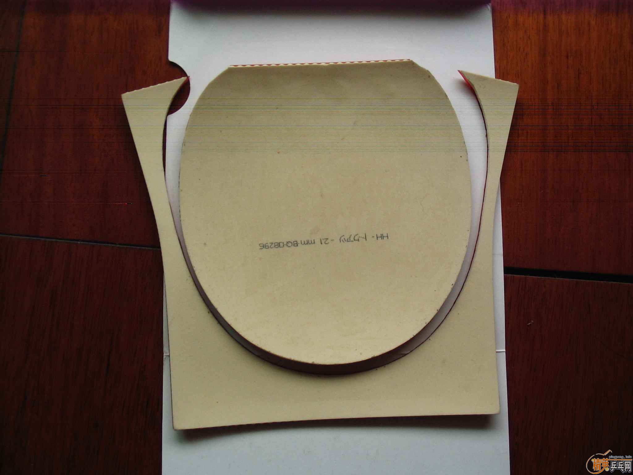 ����͡�EL��F1���׽�