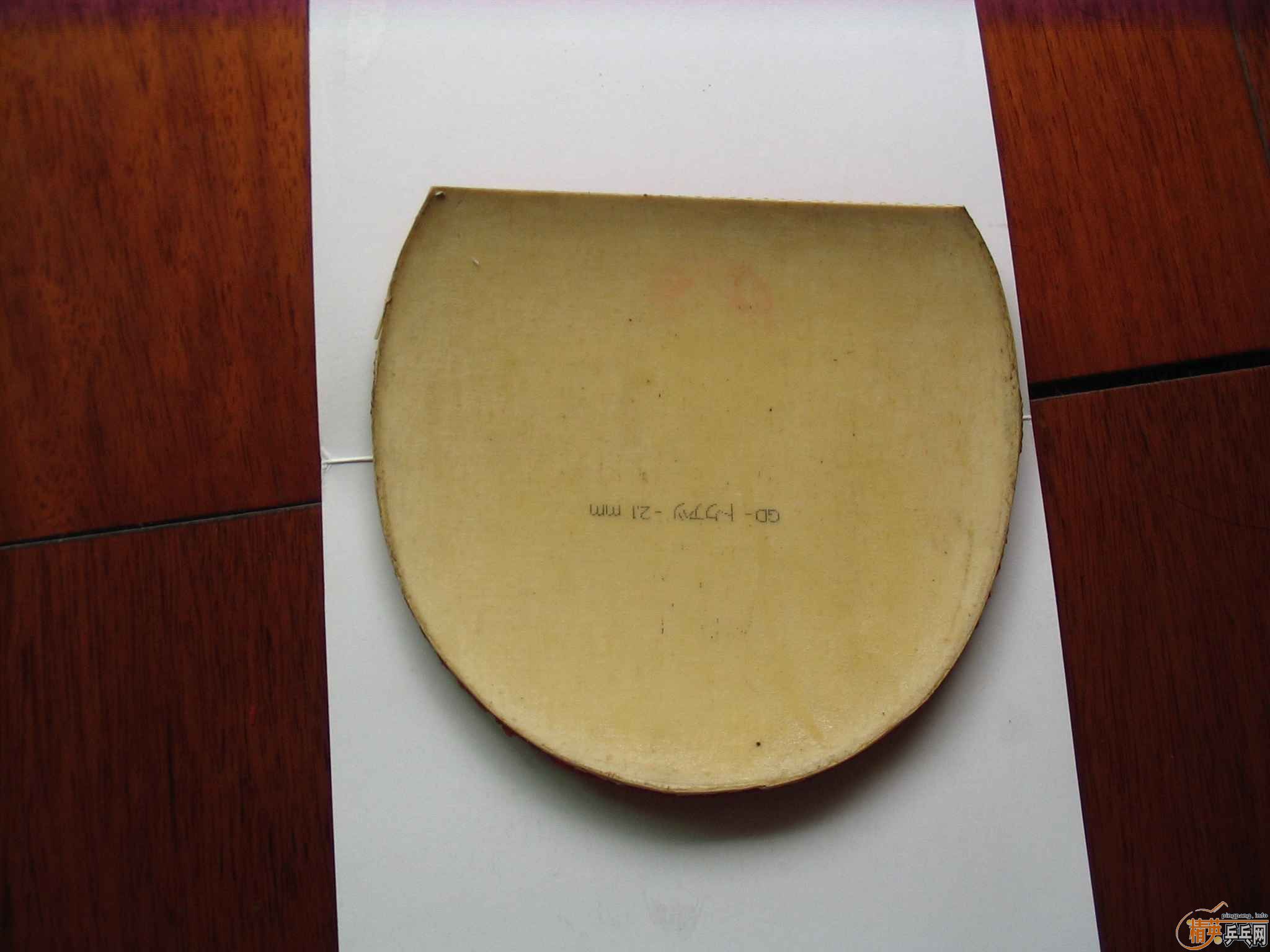 ����͡�EL��F1���׽�