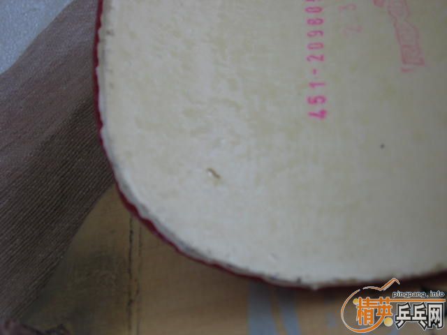 Max���� ���� 450     2.3mm   110����