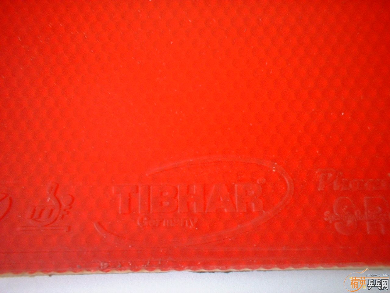 ��ͦ�����׺ͰԵ�2046�׽� 50����