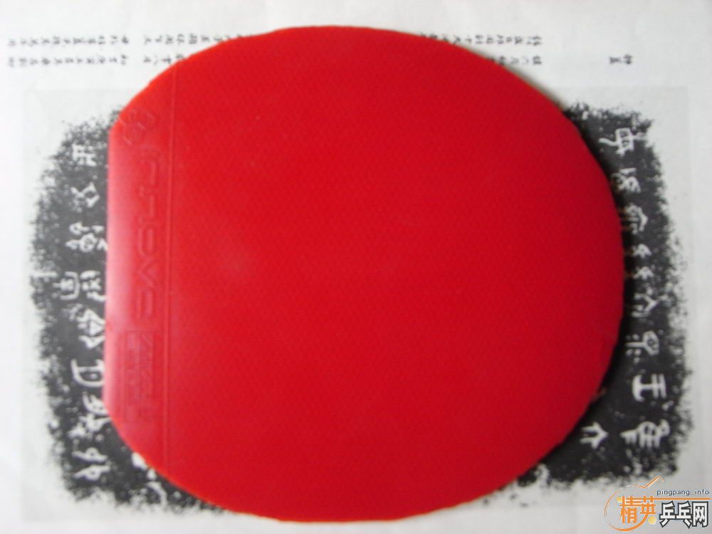 ����+һŵ������