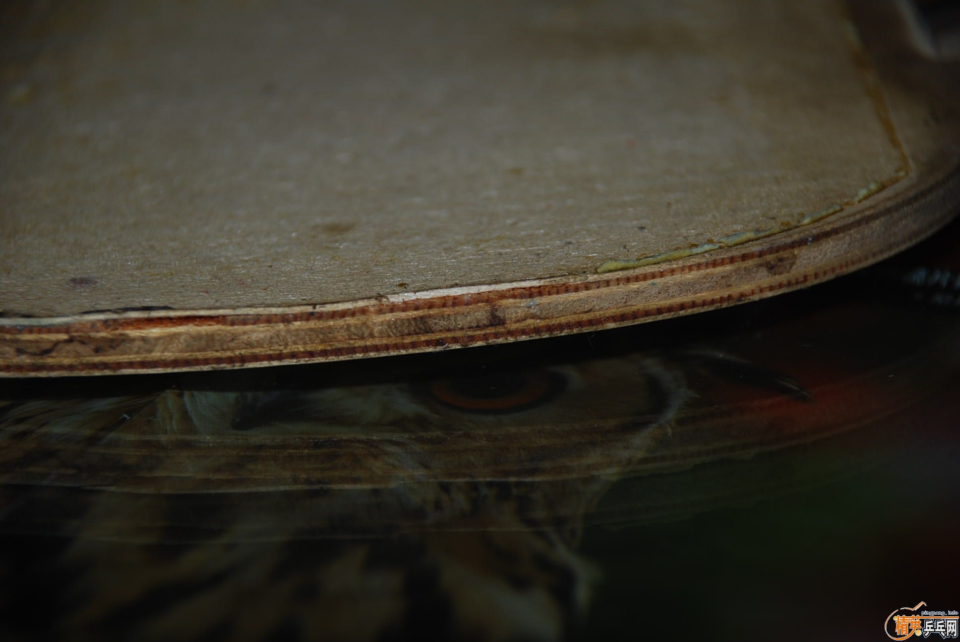 Ʒ����ĵ�PALIO��ֱ�ĺᣩ