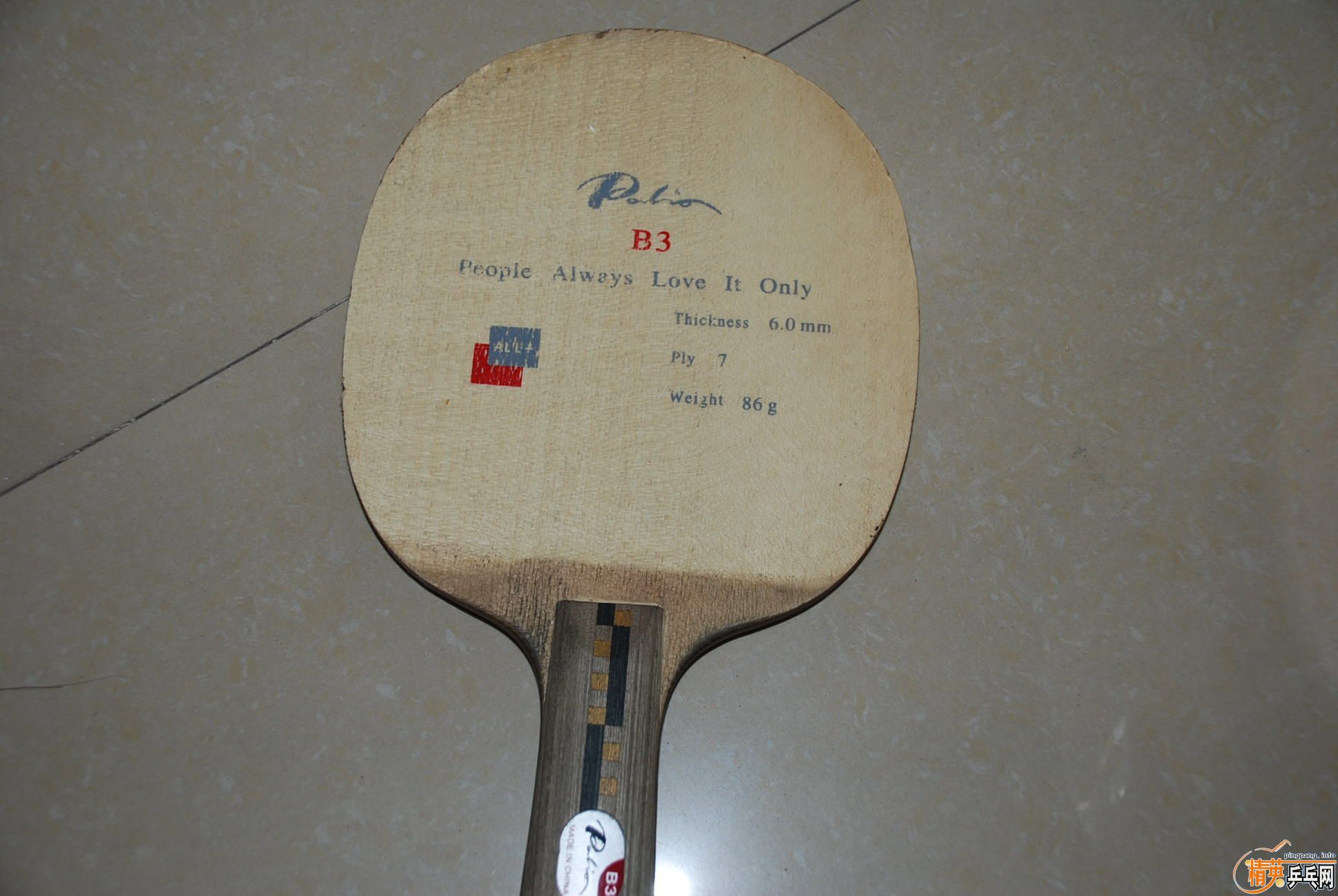 Ʒ����ĵ�PALIO��ֱ�ĺᣩ