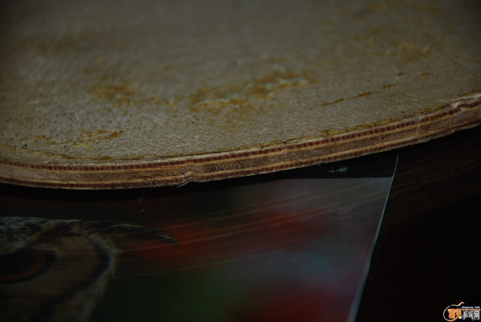 Ʒ����ĵ�PALIO��ֱ�ĺᣩ