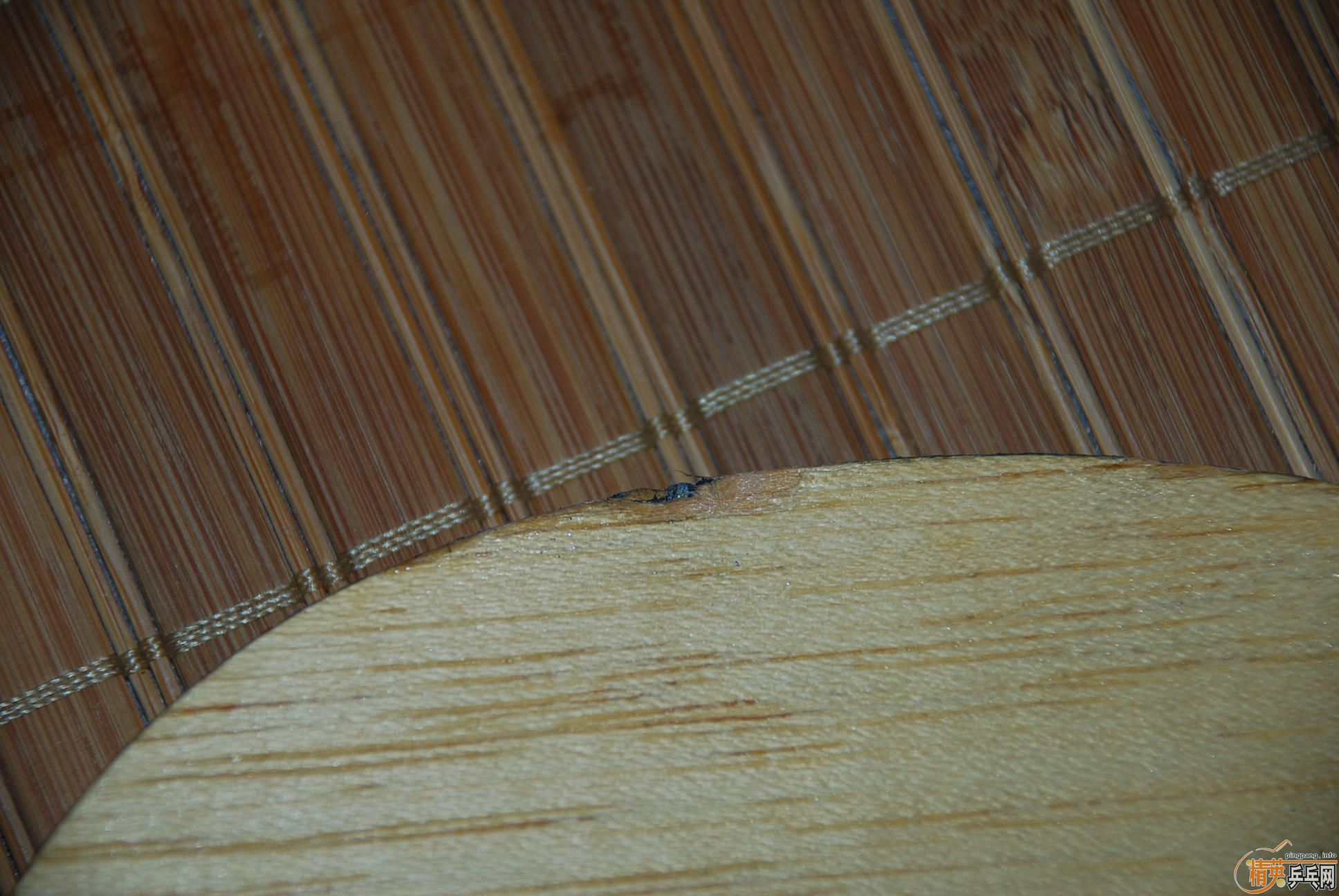 �۸��Ÿ���