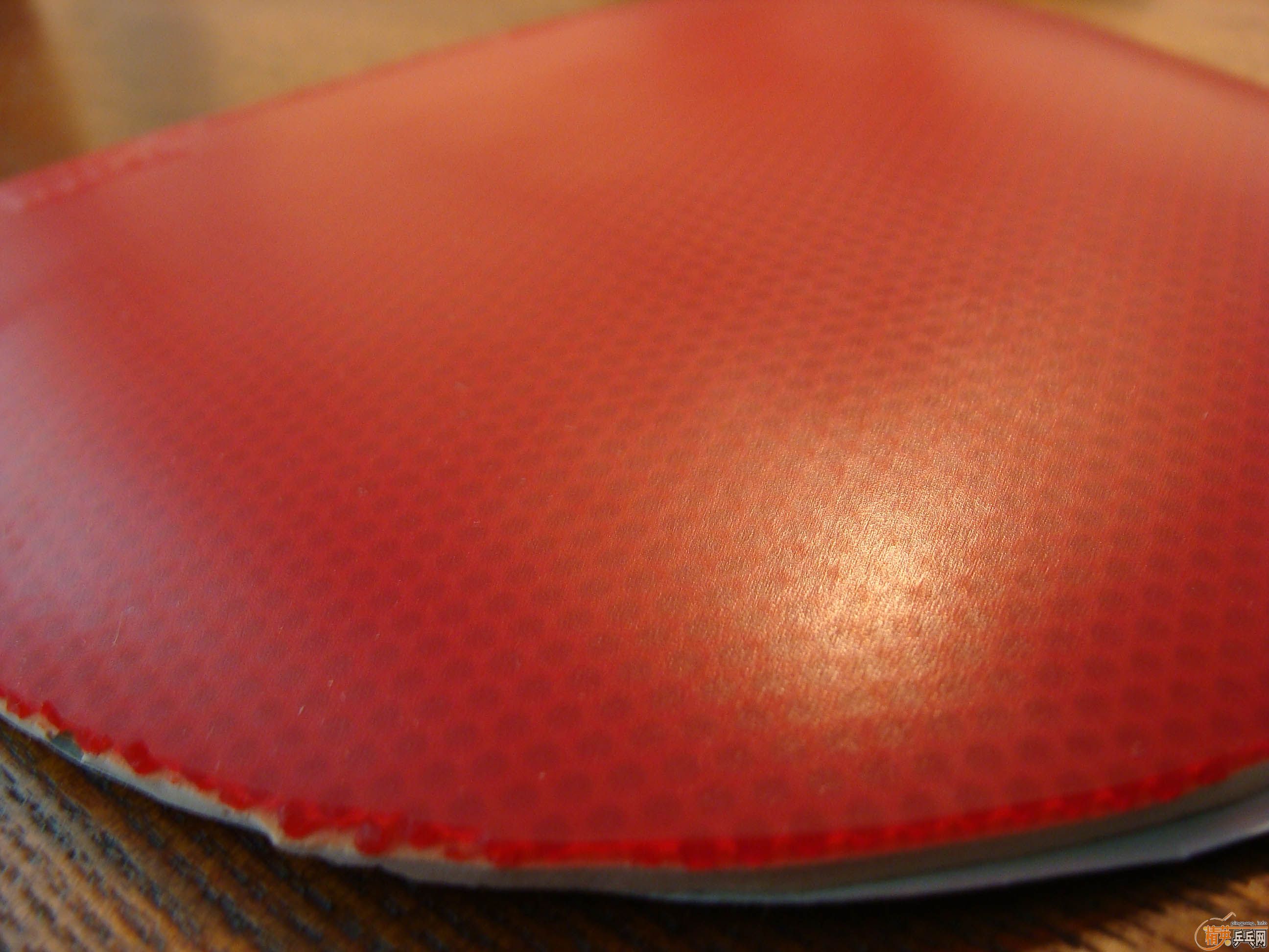 �����鶥���׽���֧��֧������