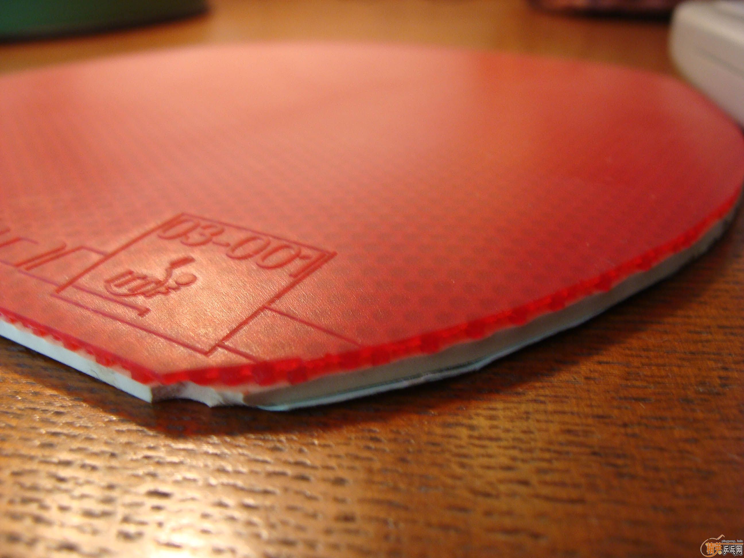 �����鶥���׽���֧��֧������