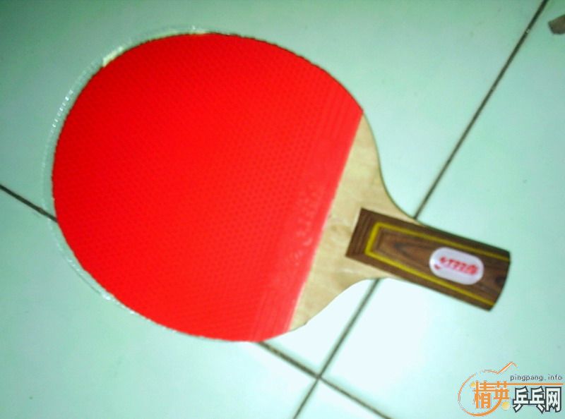 �����Գ���˫ϲ032����(ֱ��)������