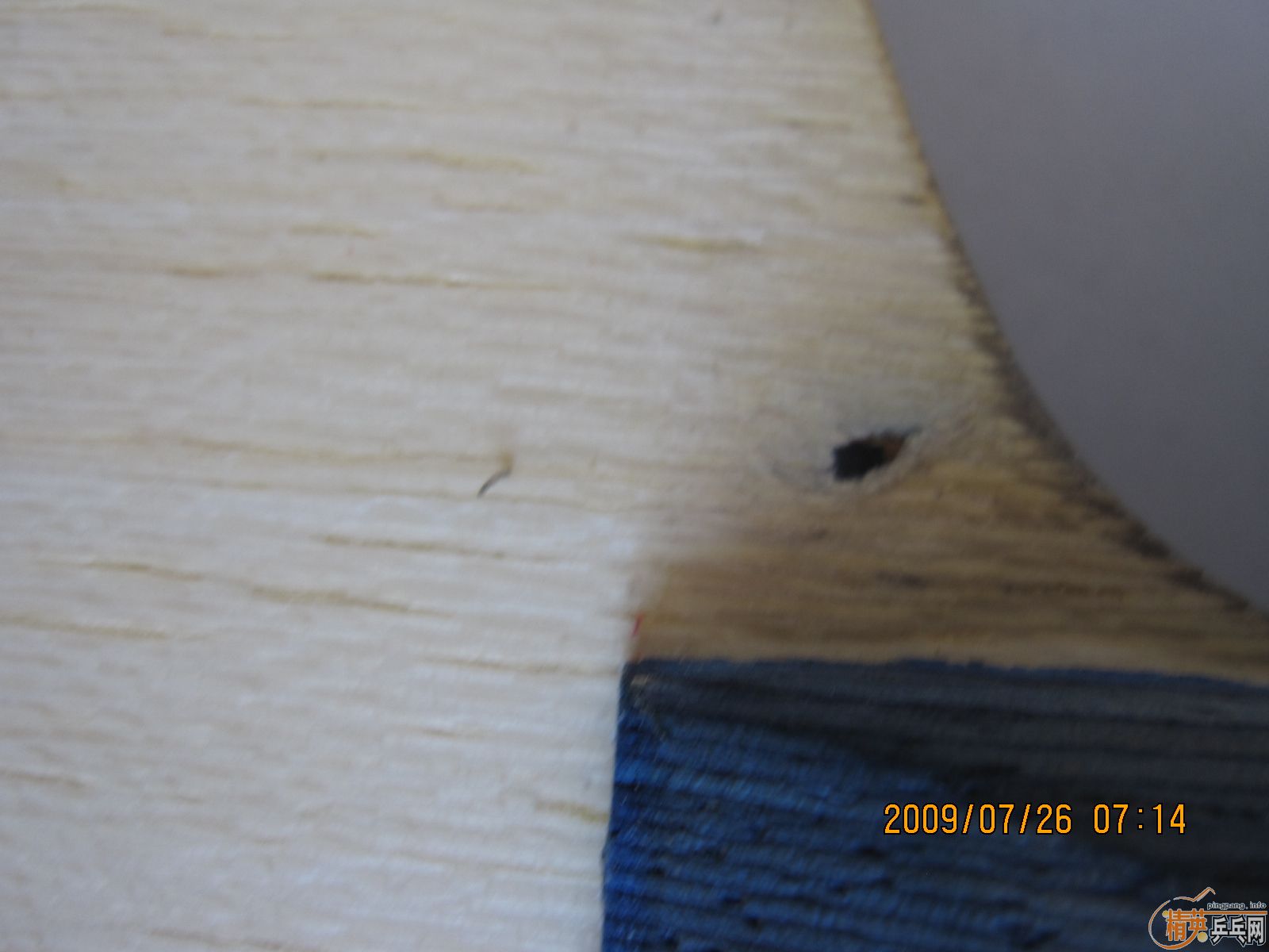 �����沨��35881����   �����յ���