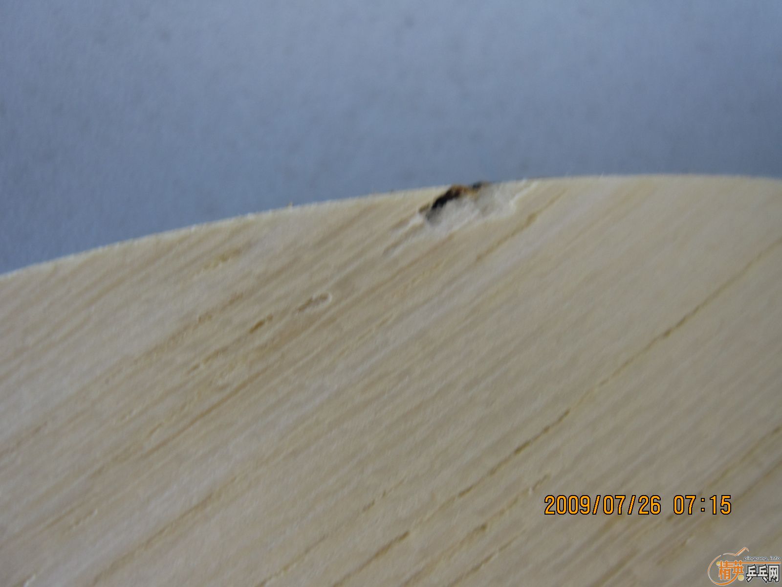 �����沨��35881����   �����յ���