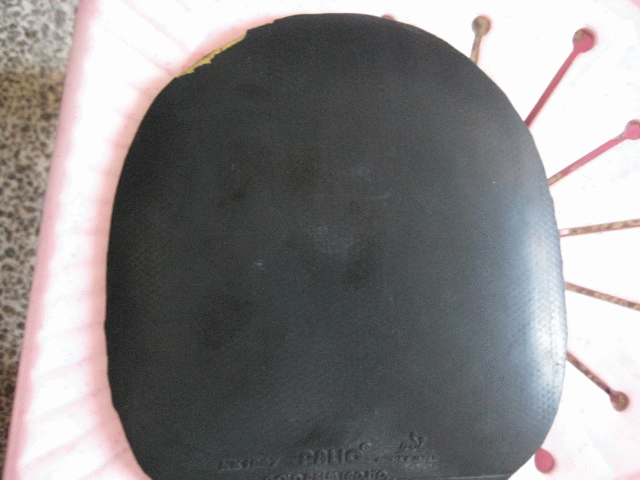 ������������Ƥ����֪����û���˸���Ȥ��