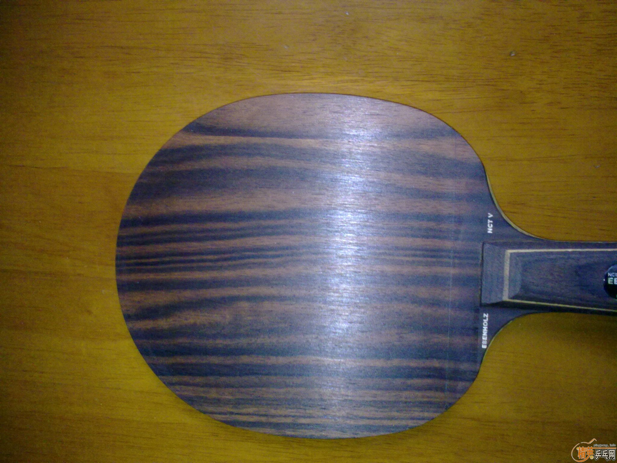 ��9.5�µ��л���̴5