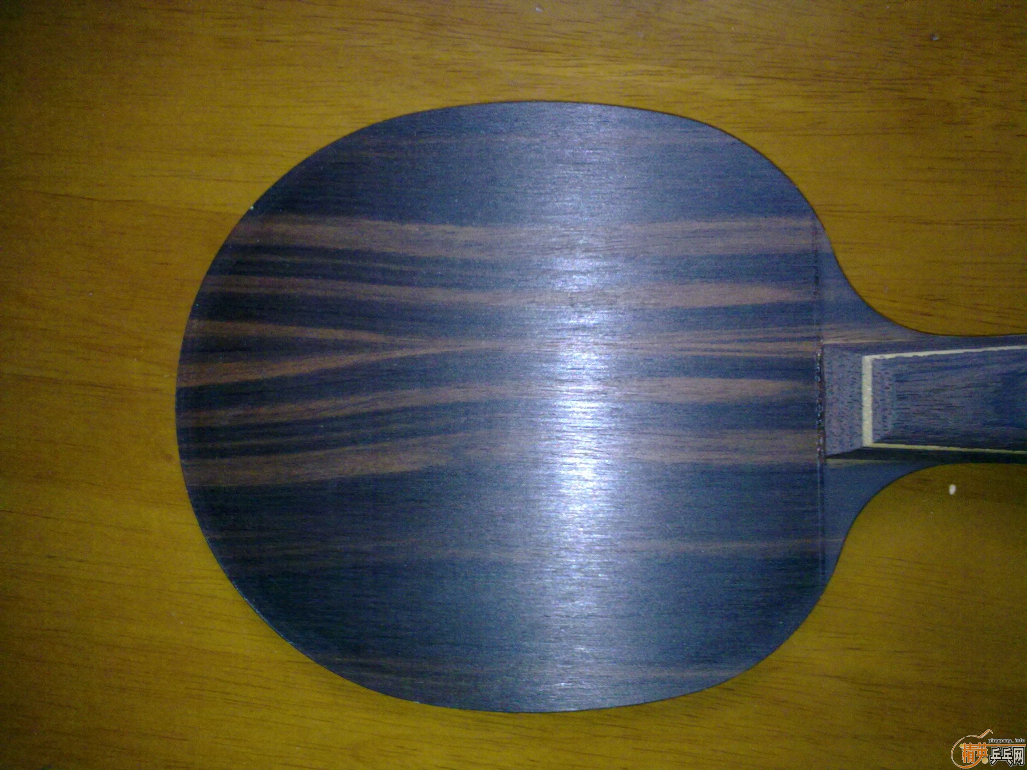 ��9.5�µ��л���̴5