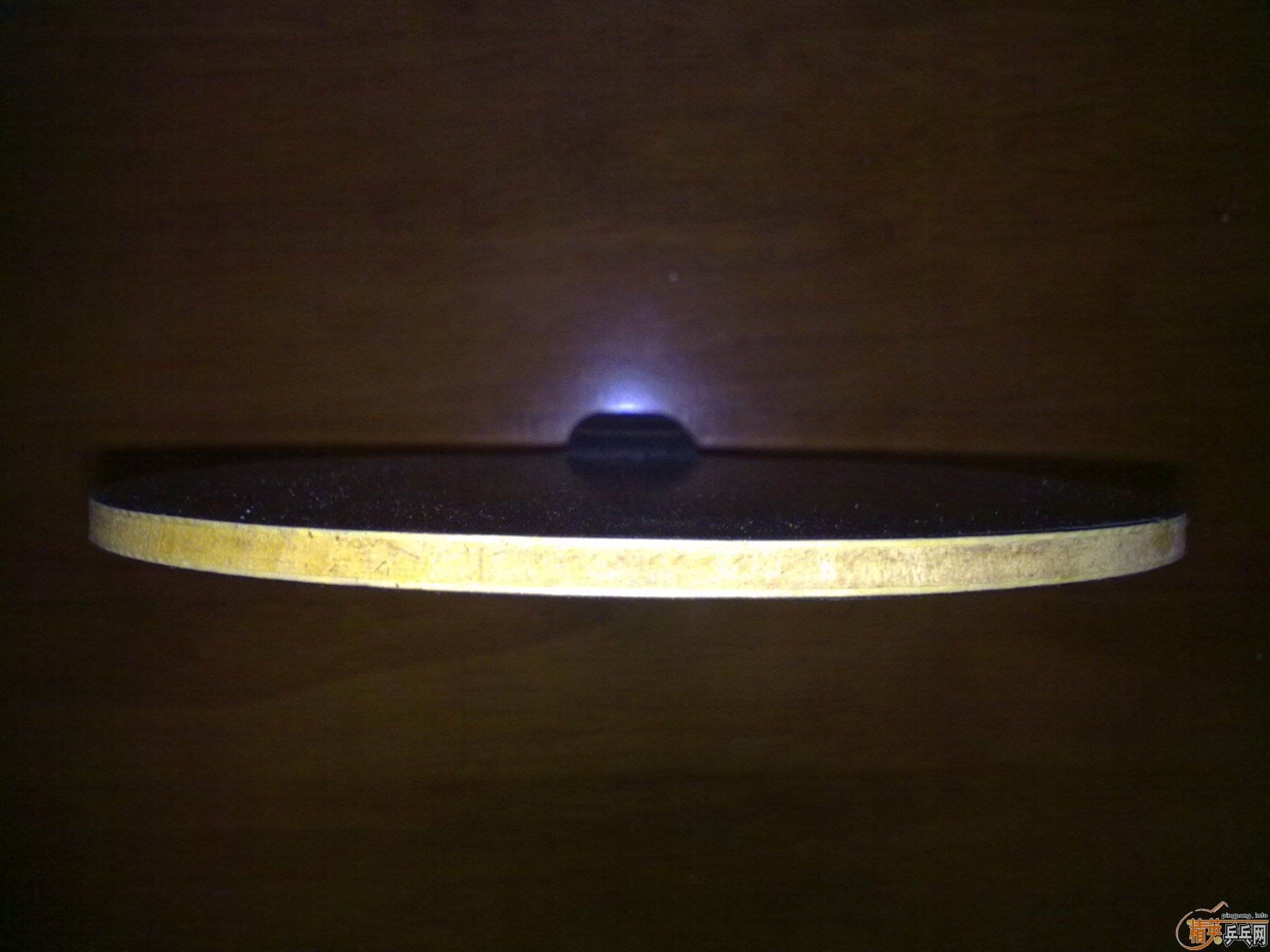 ��9.5�µ��л���̴5