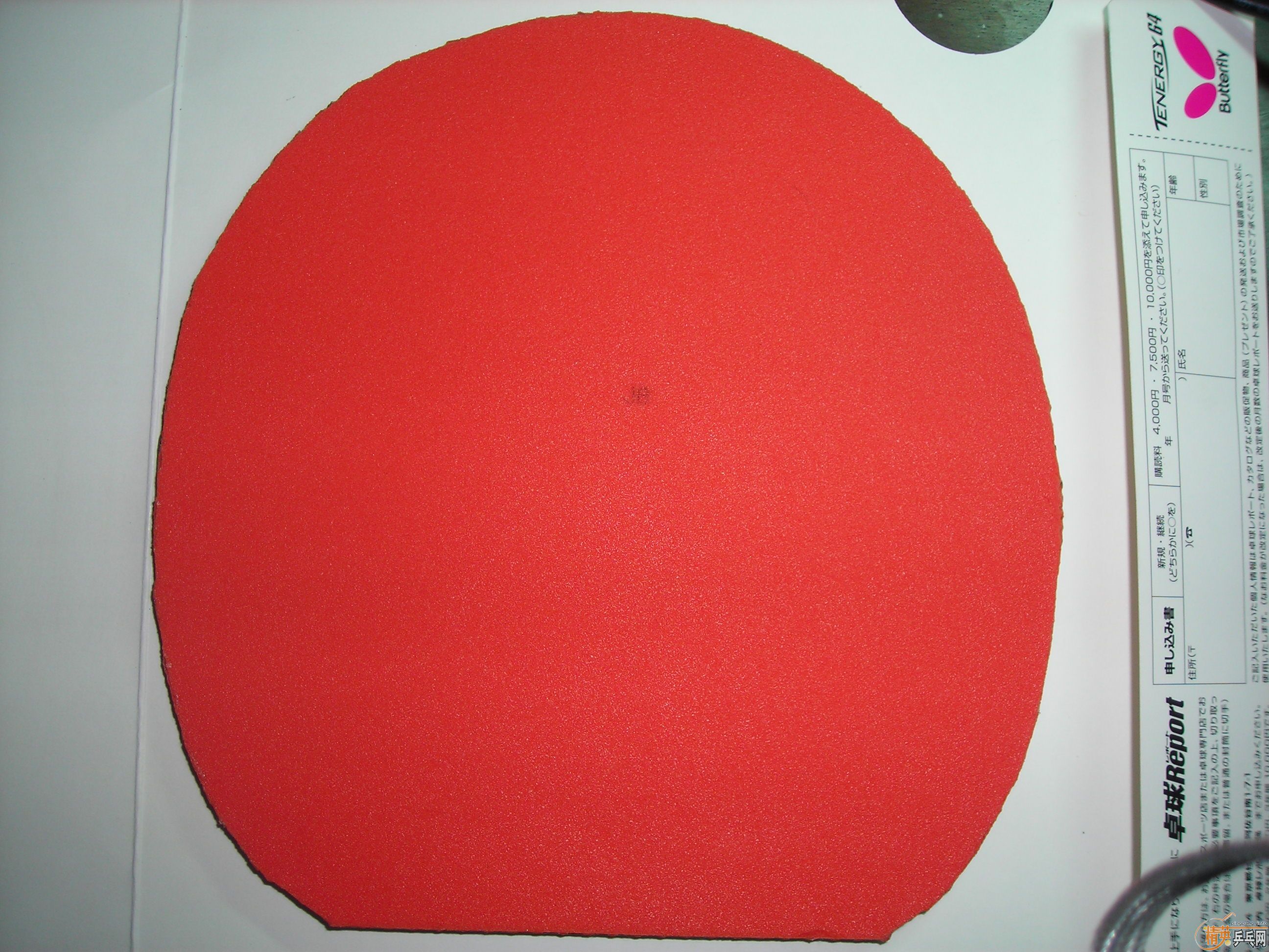 �ͼ۳�9.5����ŷ�ް�����TENERGY 05(����һ��)