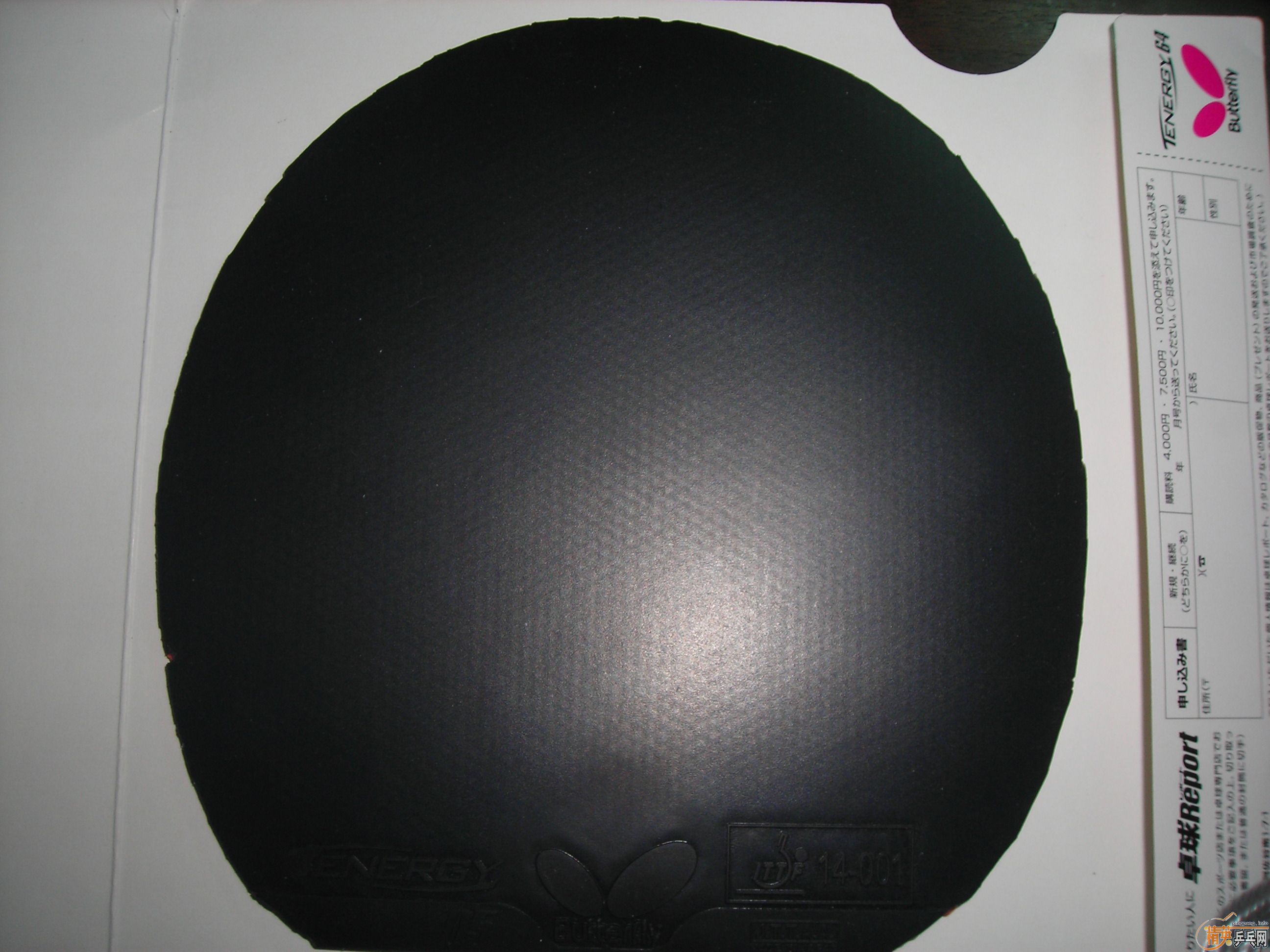 �ͼ۳�9.5����ŷ�ް�����TENERGY 05(����һ��)