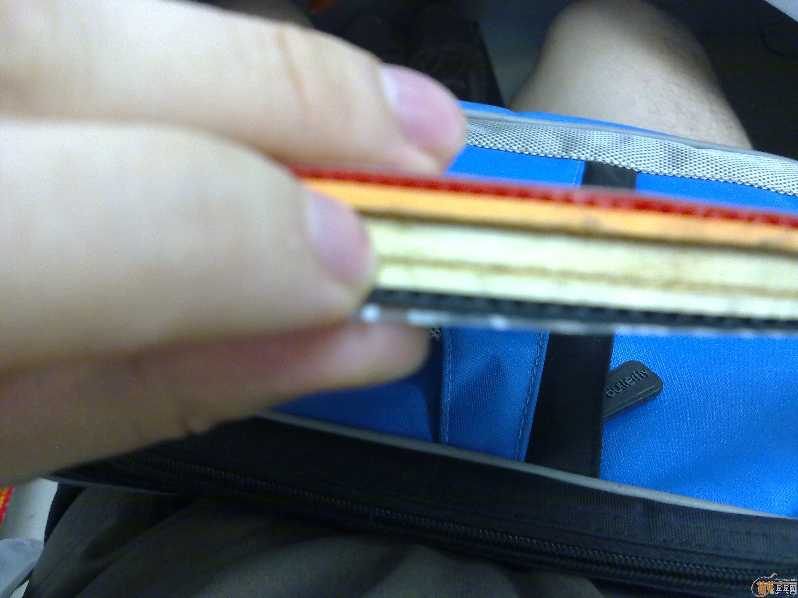 ��Ҳ���գ���һ���հ� ľ����