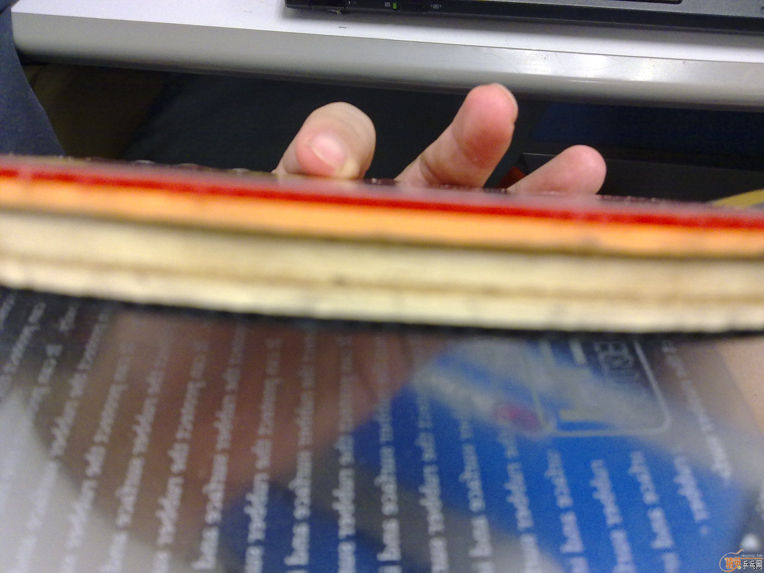 ��Ҳ���գ���һ���հ� ľ����