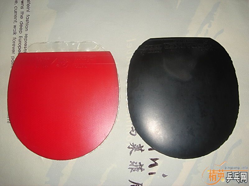 ����������׽����·�