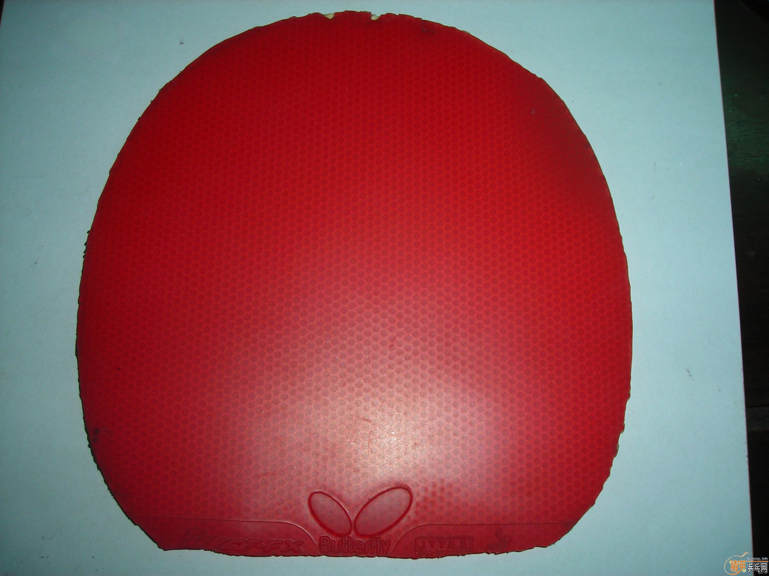 ��BRYCE SPEED FX�͹���