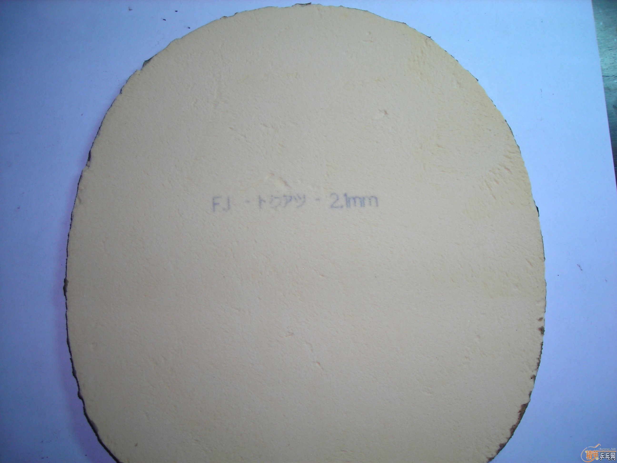 ��BRYCE SPEED FX�͹���