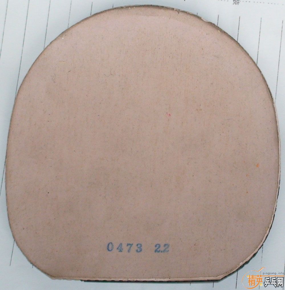 ��9.5�������ᣨ��ɫ���򻻺�ɫ�����Լ��������׽�(�ѳ���