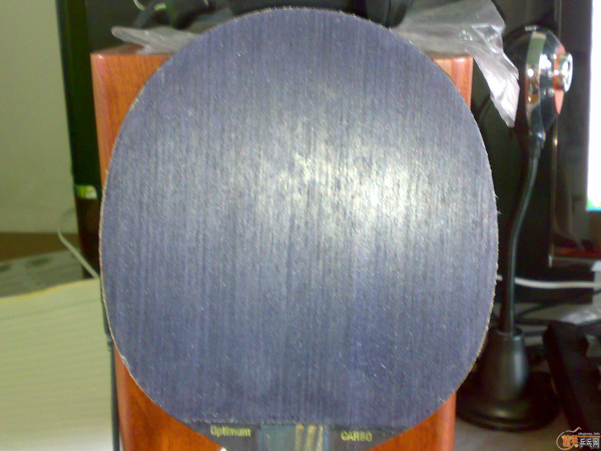 [ֻ������