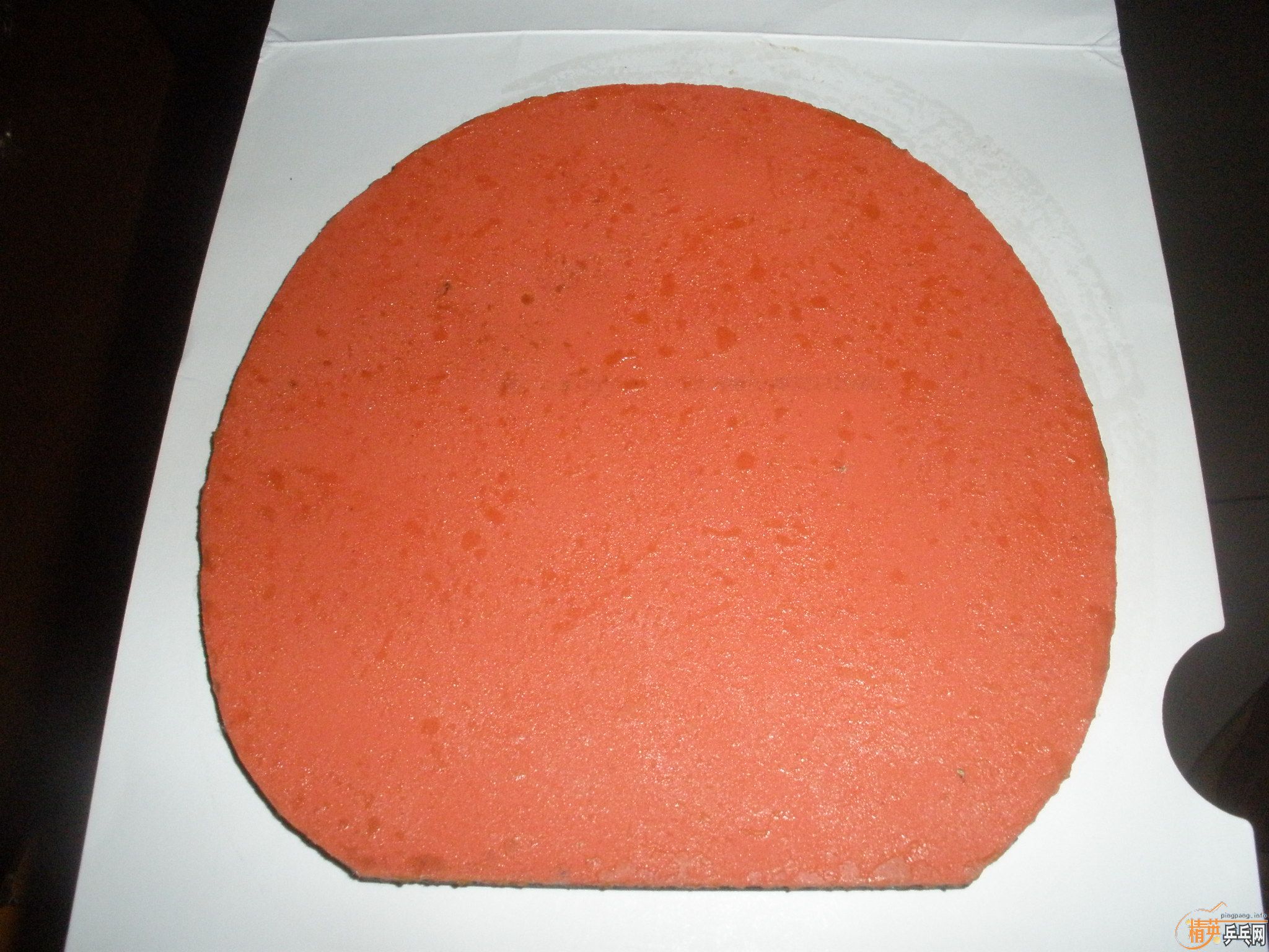 ��һƬС����t05����