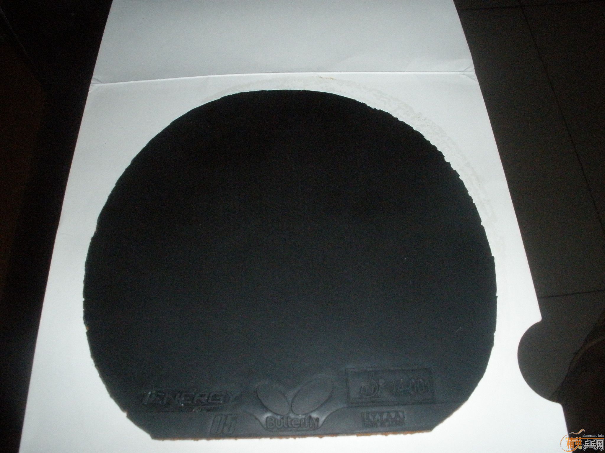 ��һƬС����t05����