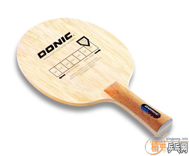 ���ʶ���˱�ķ���ָ�