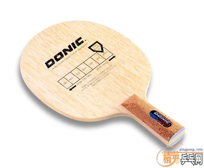 ���ʶ���˱�ķ���ָ�