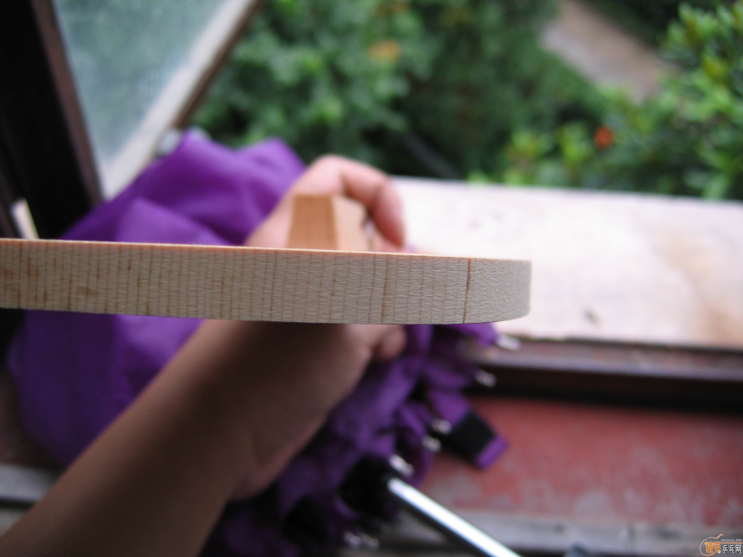 ���ۺ����Ͻ� 2200Ԫһֻ