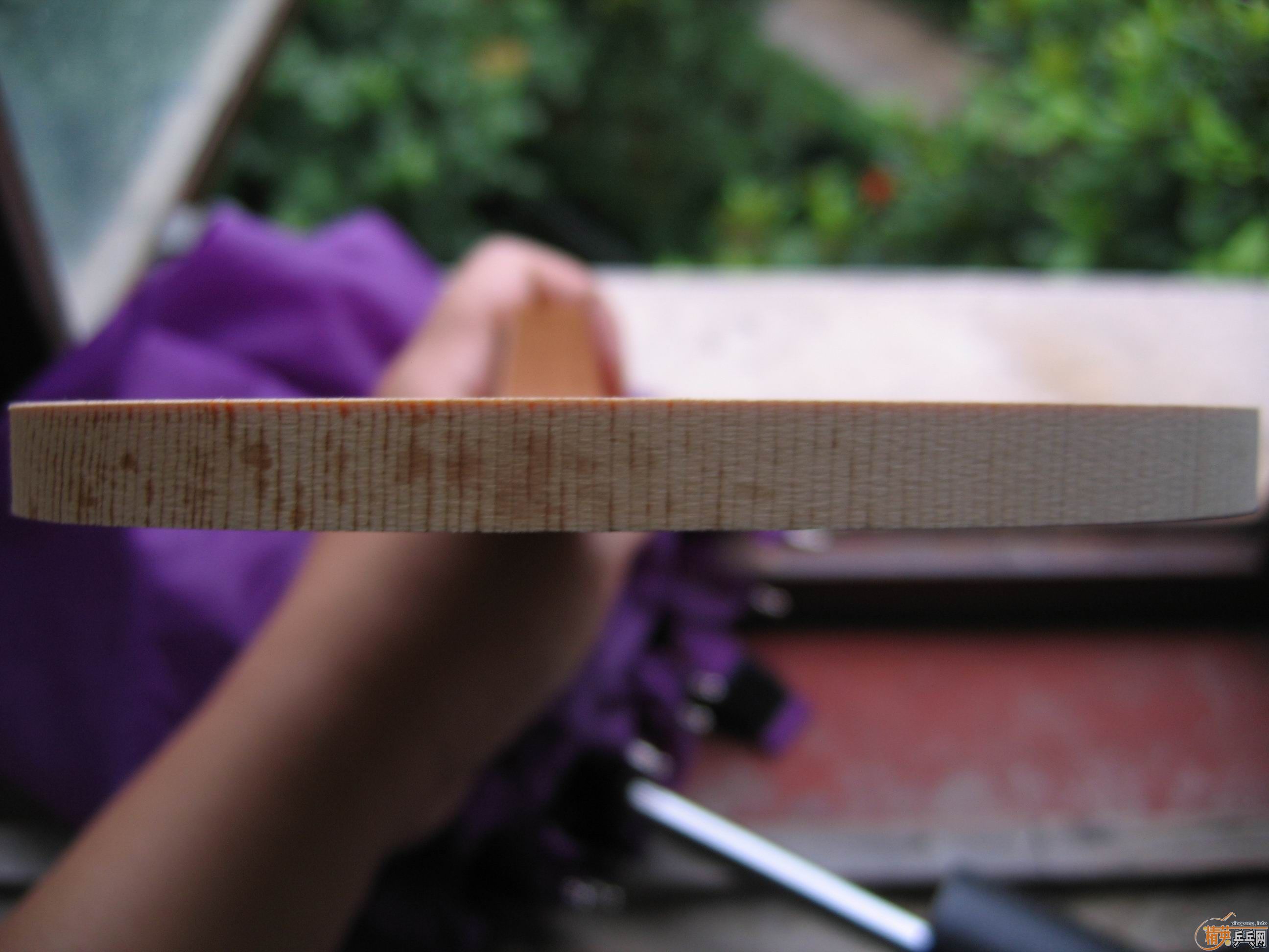 ���ۺ����Ͻ� 2200Ԫһֻ