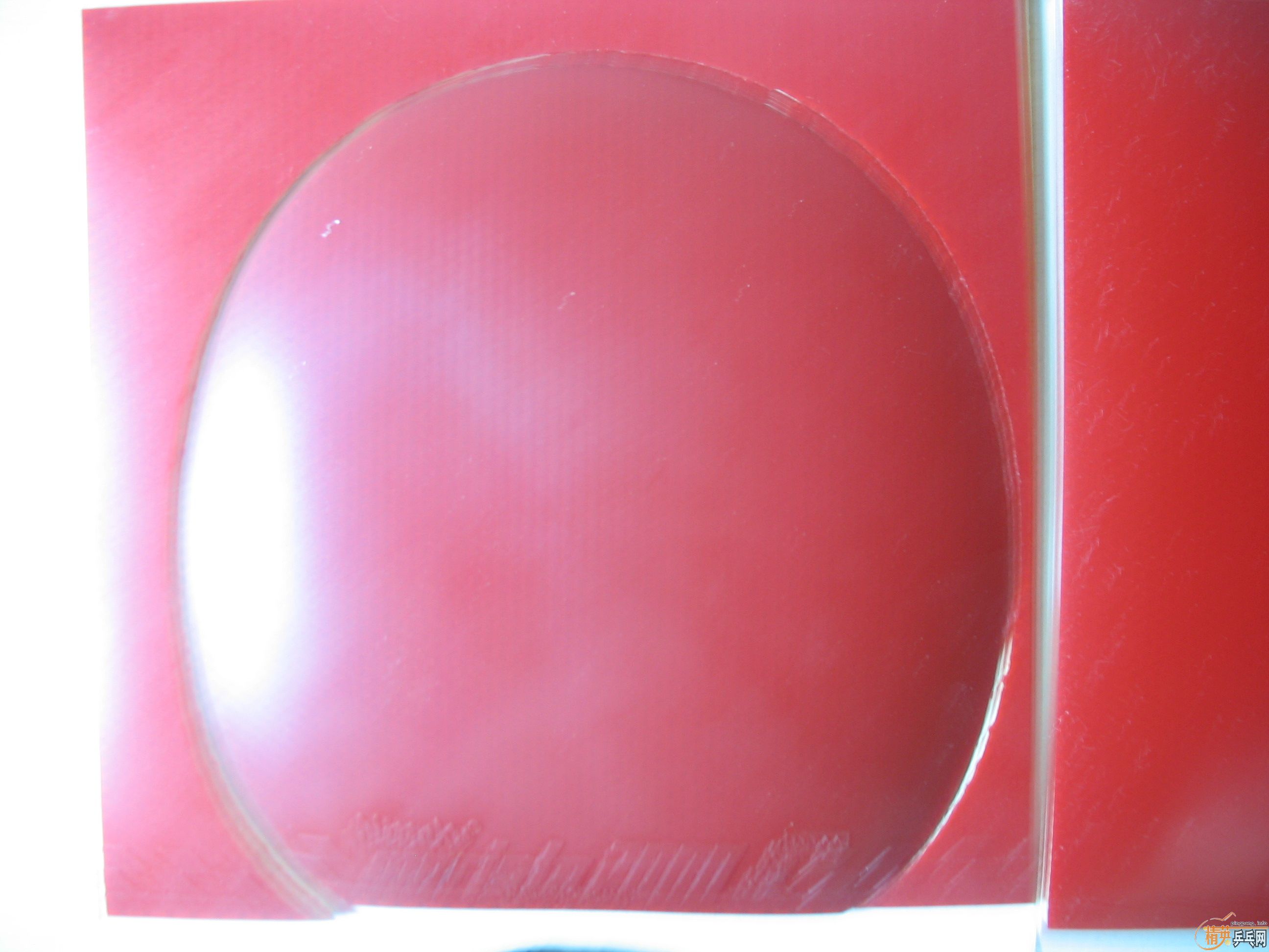 ������ӳǧ��ŭ ����ֱ��ʮ�ķ�--------��巴���ý�����