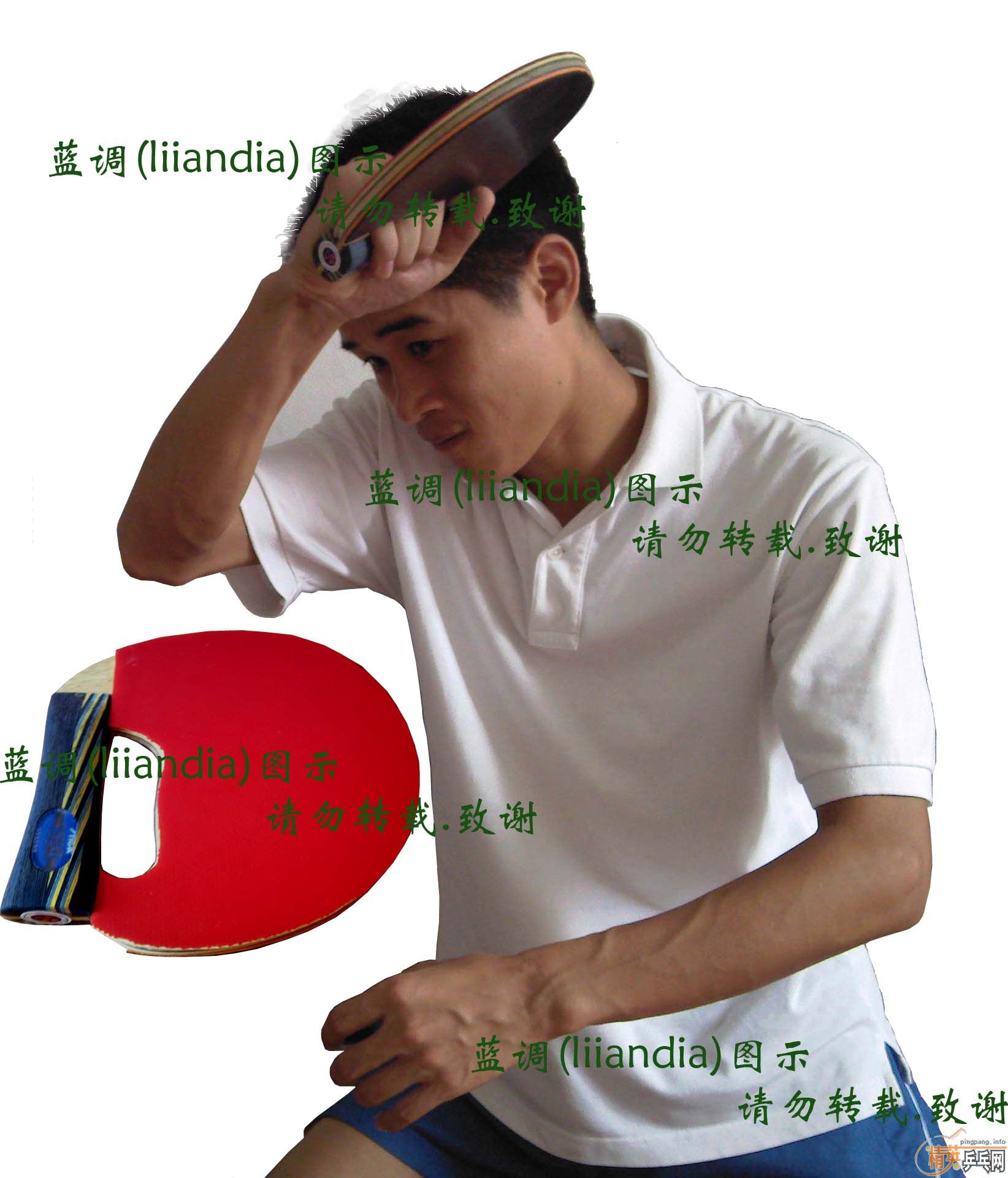ľϲ