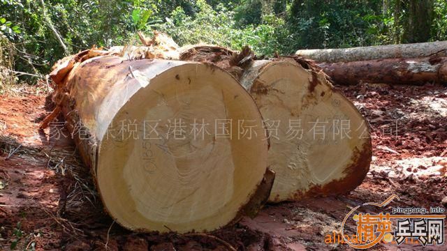 ��������ͼ�������߻�ֻ��һ��NITTAKUʯ���Ѵ���Ʒ���Լ�����