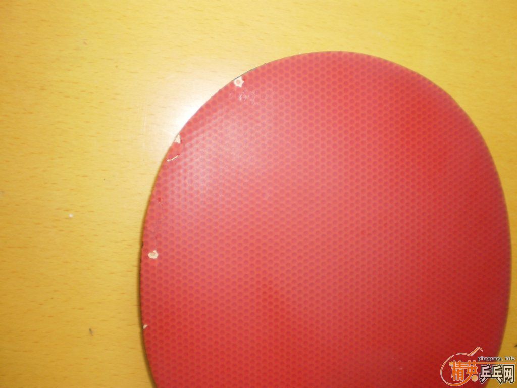 ������ɫnimbus vip,���¿��޻��׽�