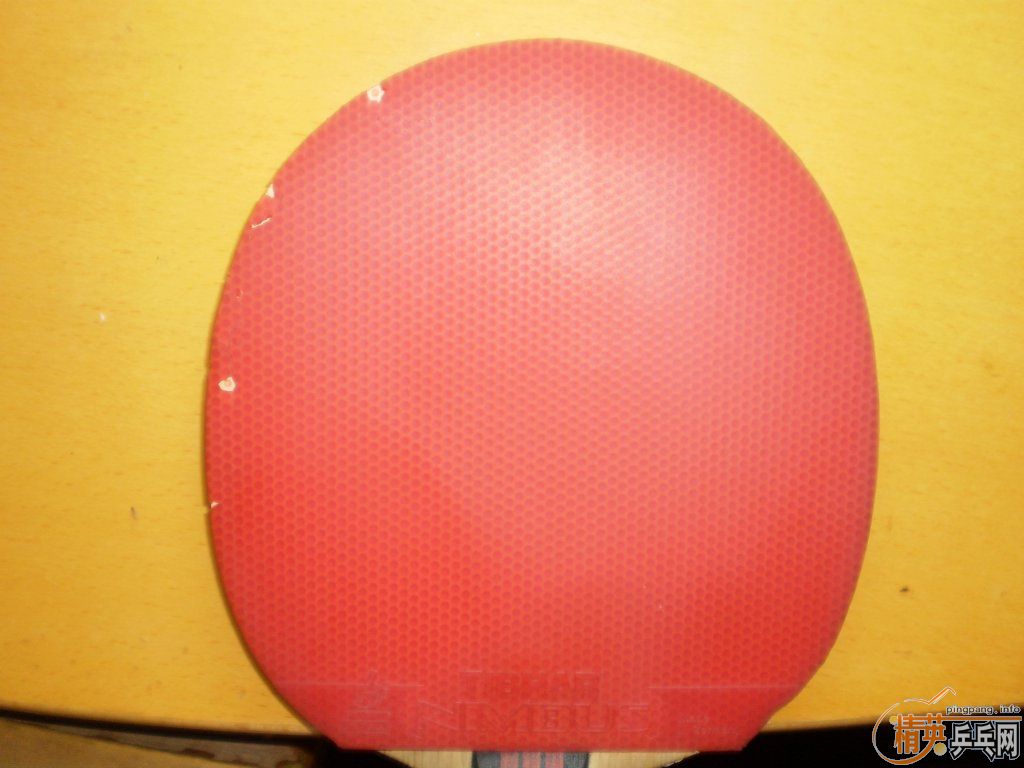 ������ɫnimbus vip,���¿��޻��׽�