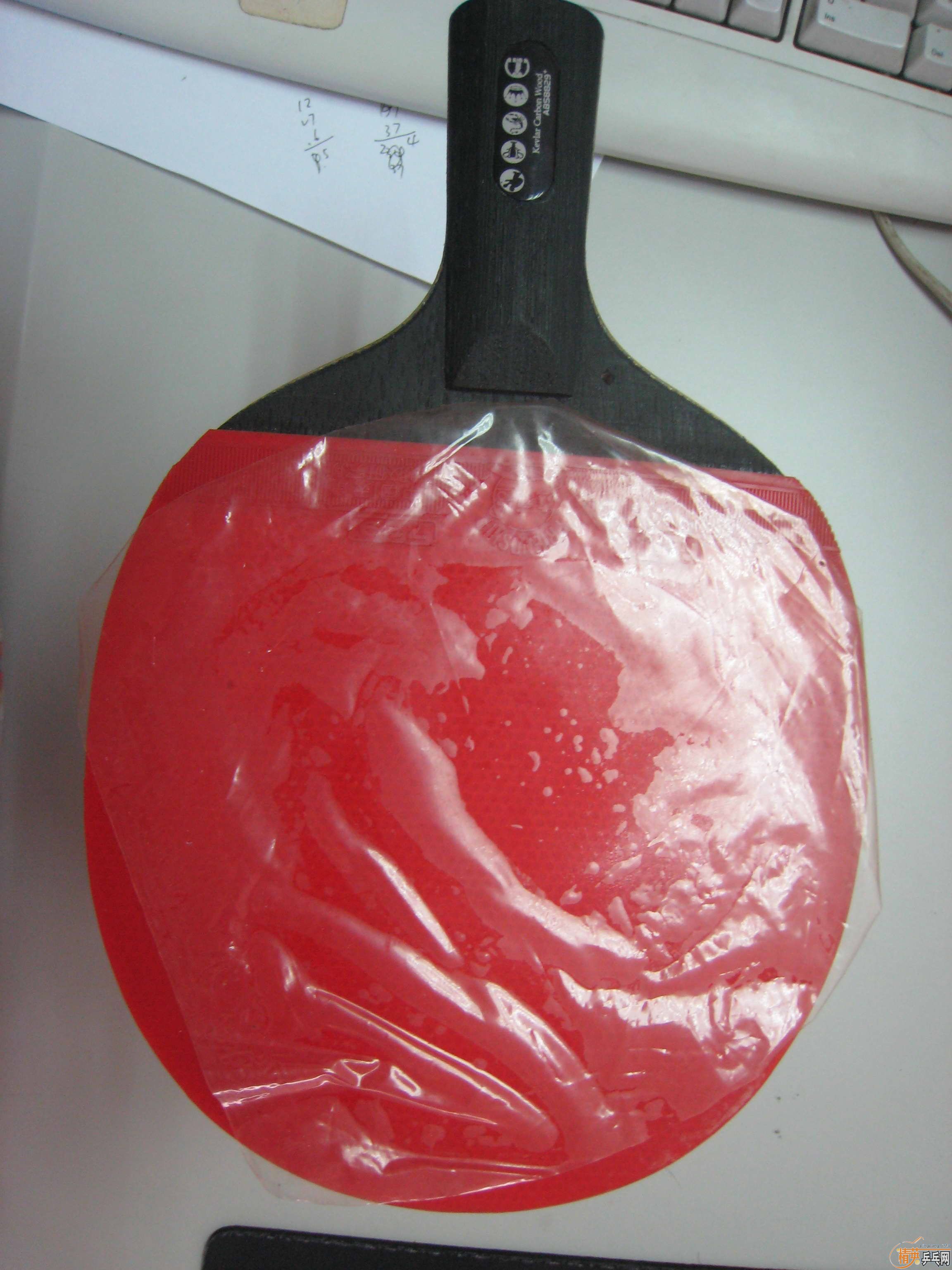 9.5�³������ĳ����׽�