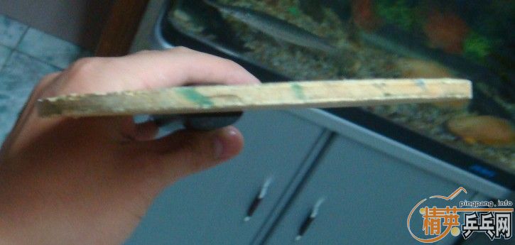 280Ԫ��һƬ������