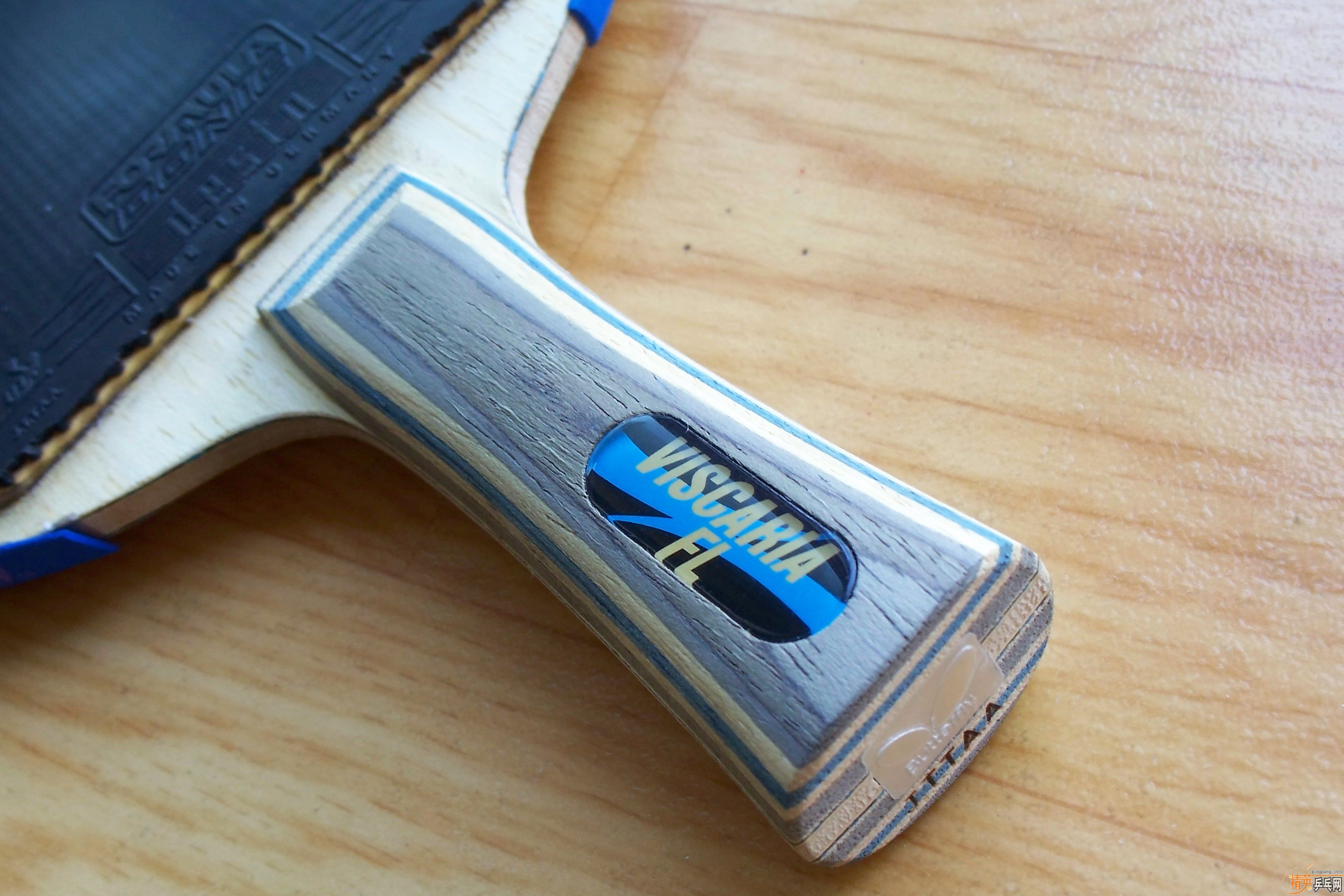 viscarla  FL    Butterfly  ����